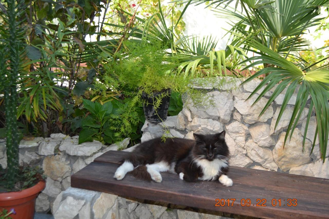 U Palycha Guest House Soechoemi Buitenkant foto